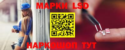 крисы Будённовск