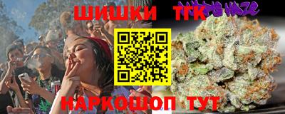 крисы Будённовск