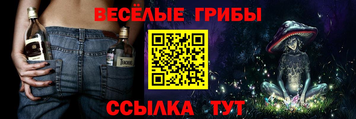 Псилоцибиновые грибы мицелий  Вход с VPN  Галлюциногенные грибы ЛСД  где найти наркотики  Сибай 